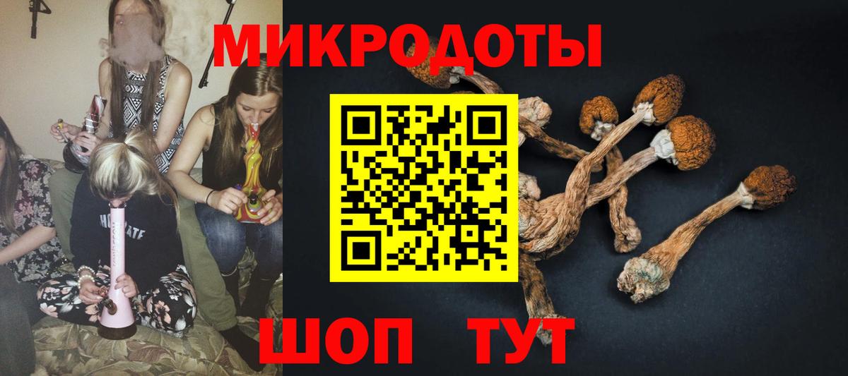 Псилоцибиновые грибы мицелий Ишимбай